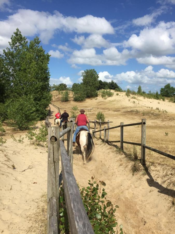 Vakantiehuisje 003 コクセッド エクステリア 写真